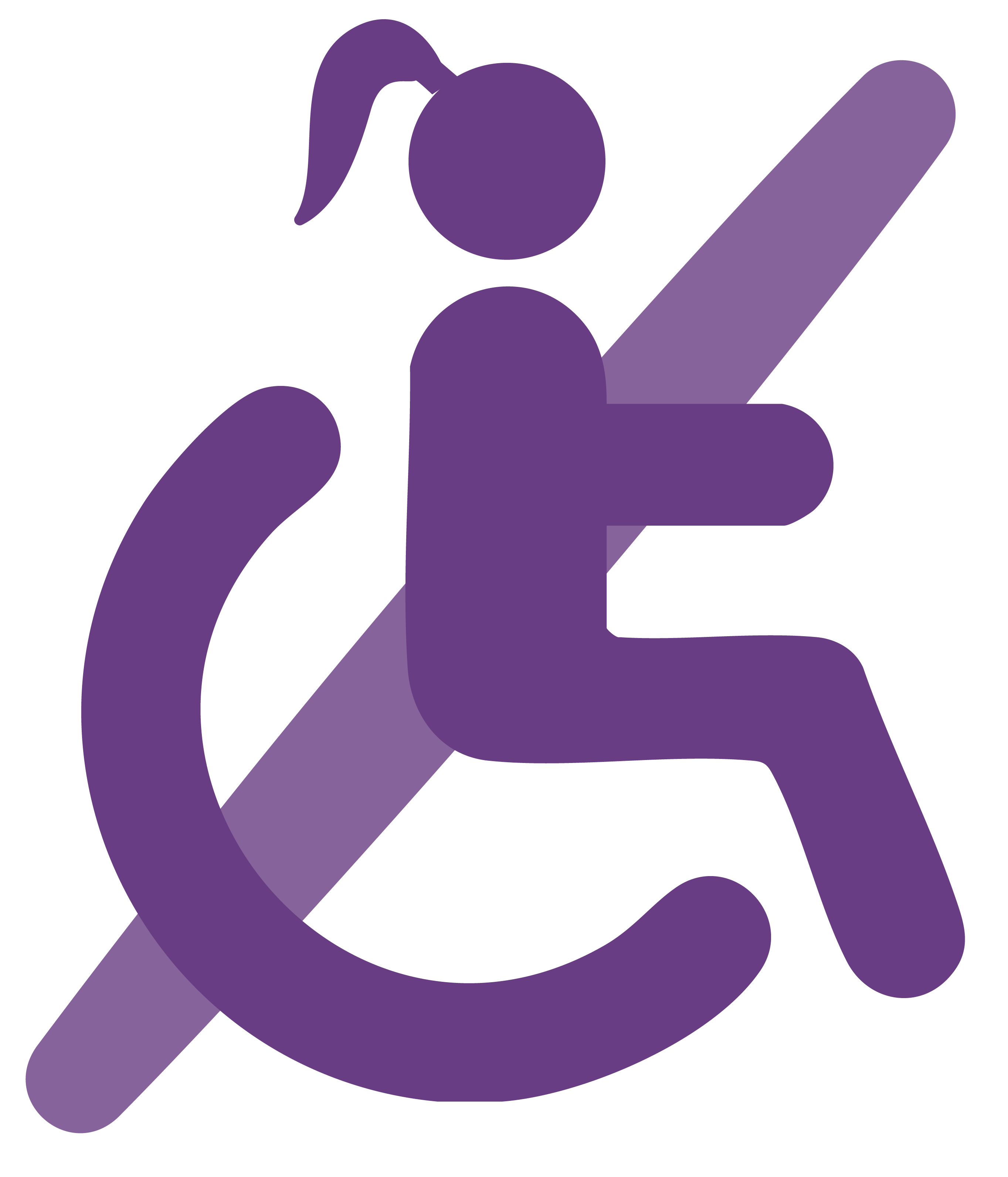 Icona accessibilitat dona amb cadira de rodes